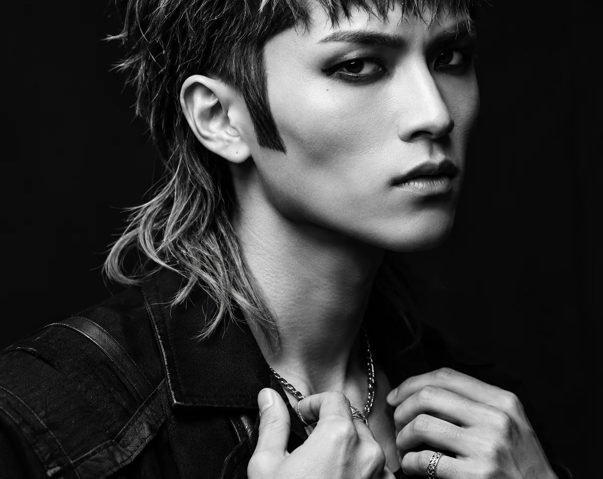Modern Mullet Cut